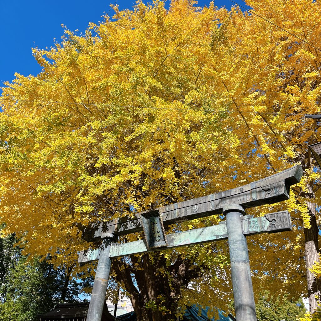 受験、就活、転職